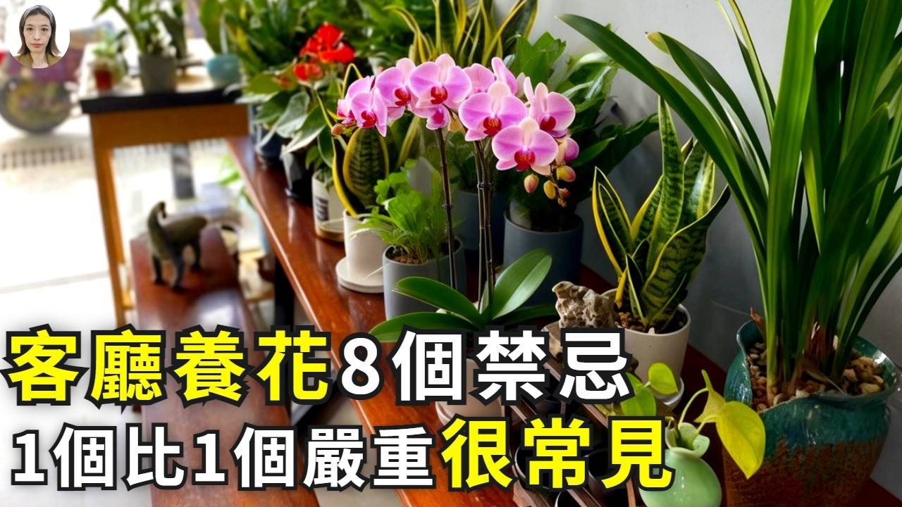 家庭養花有8個禁忌，1個比1個嚴重可怕，快看你犯了幾條|花花世界