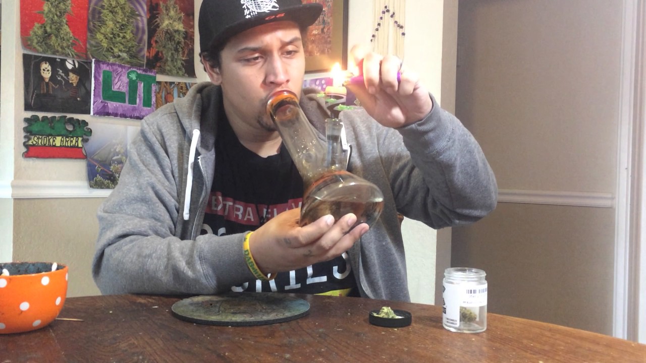 Kush CO OG Strain Review