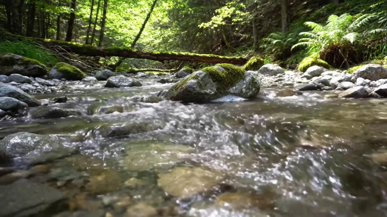 Natural River Flow for Meditation, Study and Deep Sleep UHD