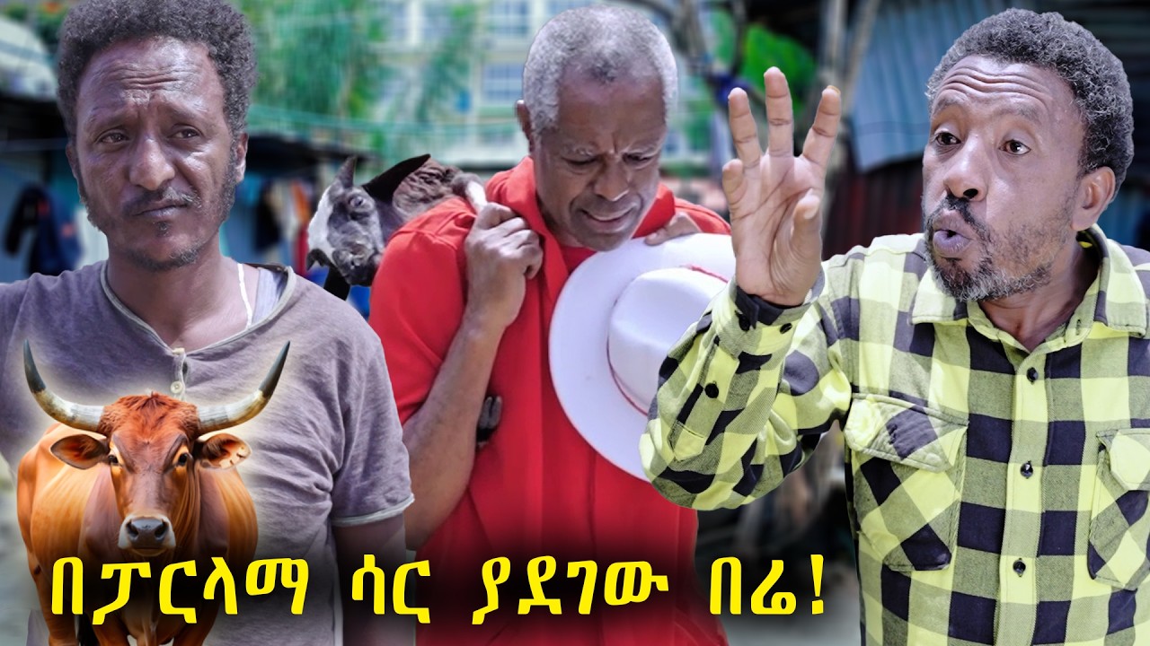 በሬውን ፈታቹ እኔን አሰሩኝ ያለው ወጣት | አዲስ አስቂኝ ፊልም | New Ethiopian Comedy Movie 2025