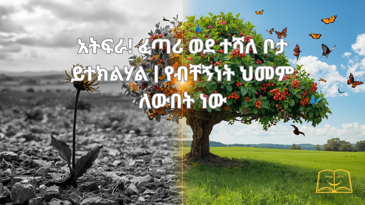 አትፍራ! ፈጣሪ ወደ ተሻለ ቦታ ይተክልሃል | የብቸኝነት ህመም ለውበት ነው