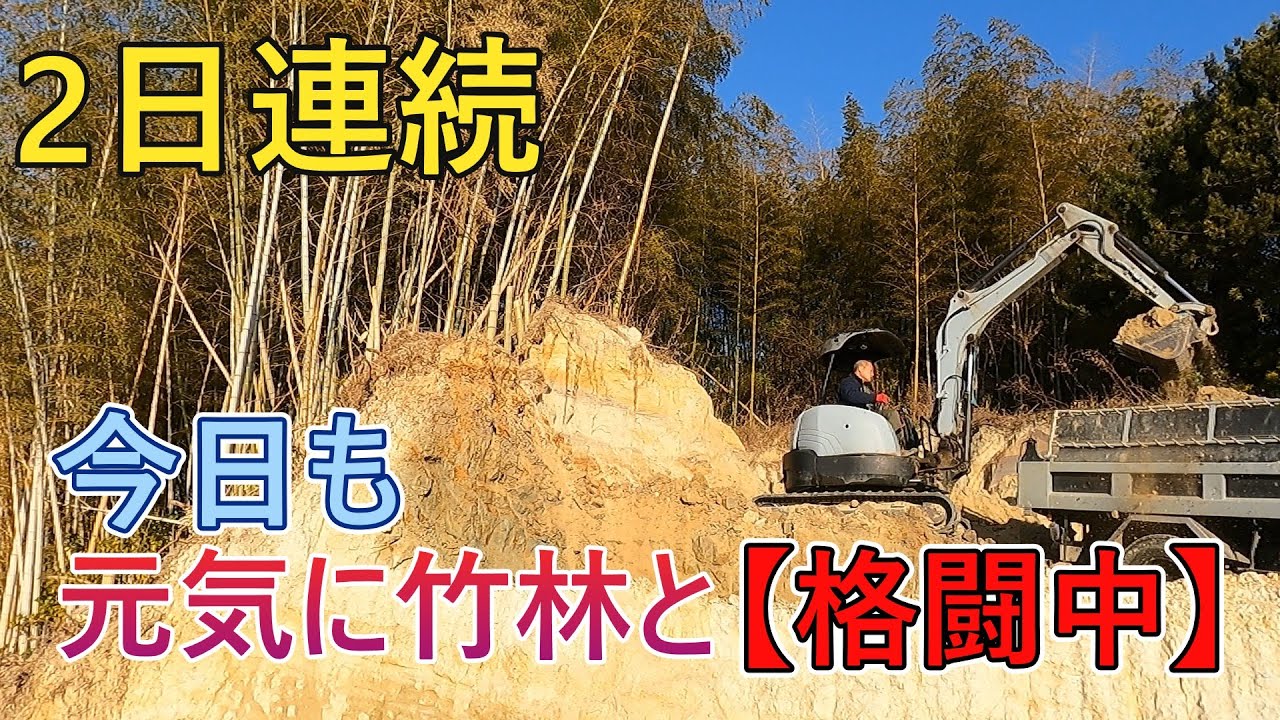 海の秘密基地＃４１４　2日連続で崖の【地下茎】も掘削します