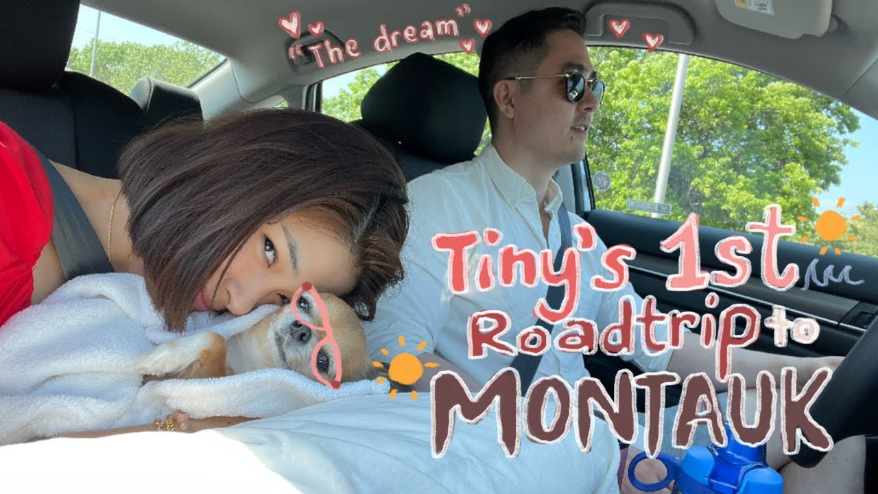 Tiny’s First Road Trip to Montauk