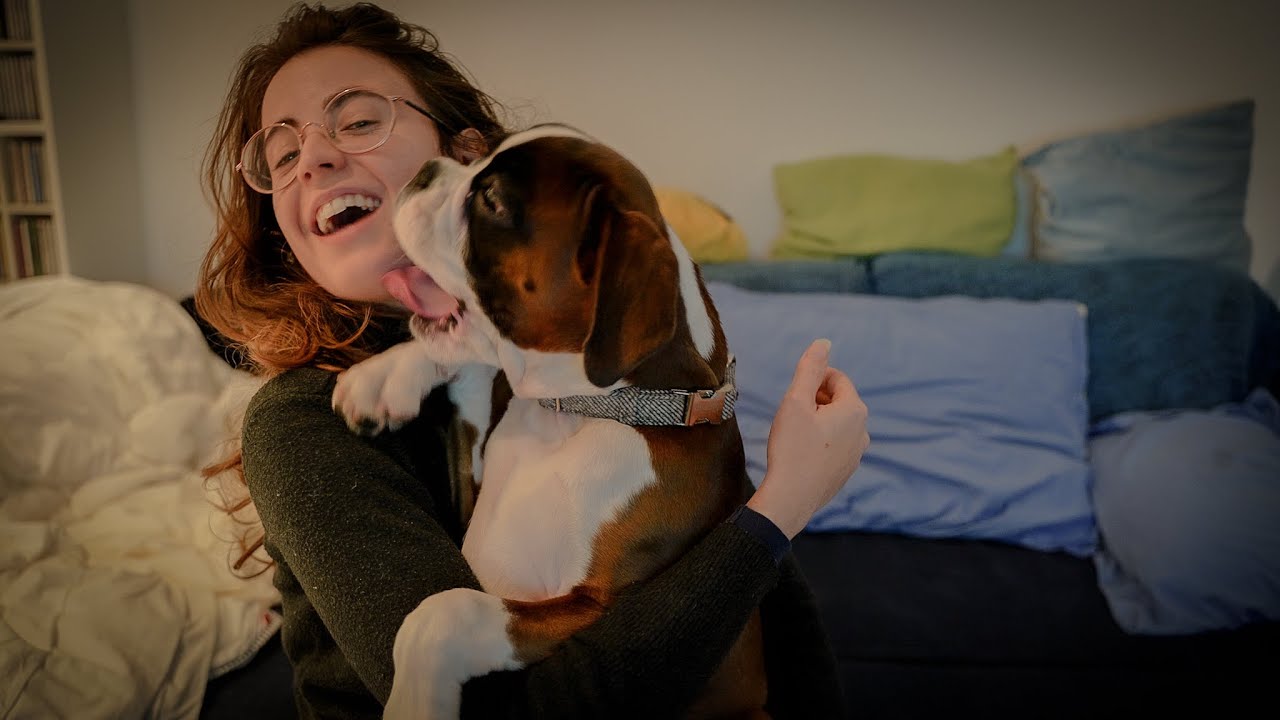 I got a BOXER PUPPY! Welcome home Ragnar 🐶