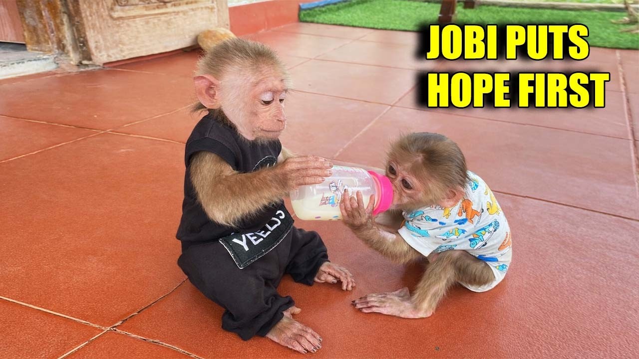 JOBI Always Gives Up HOPE – A Sacrifice That Brings Everyone To Tears ❤️