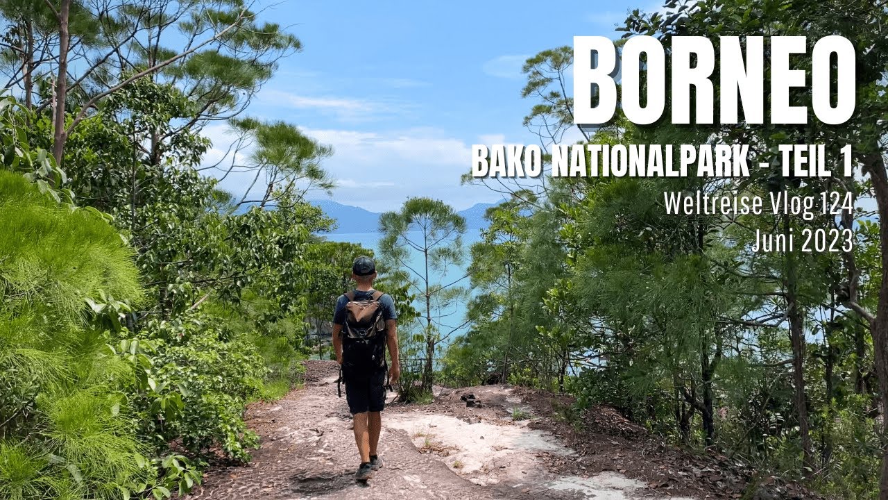 Borneo - Bako Nationalpark Teil 1 | Malaysia • Weltreise Vlog 124
