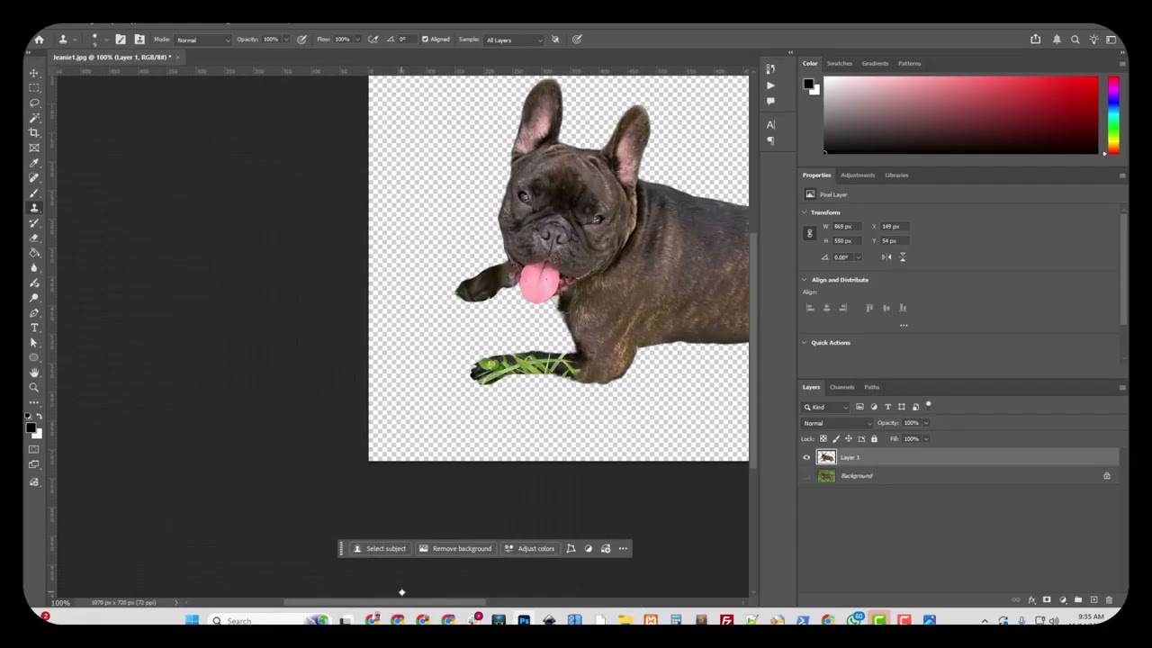 Artwork Cleanup for a Client - Jeanie Edit