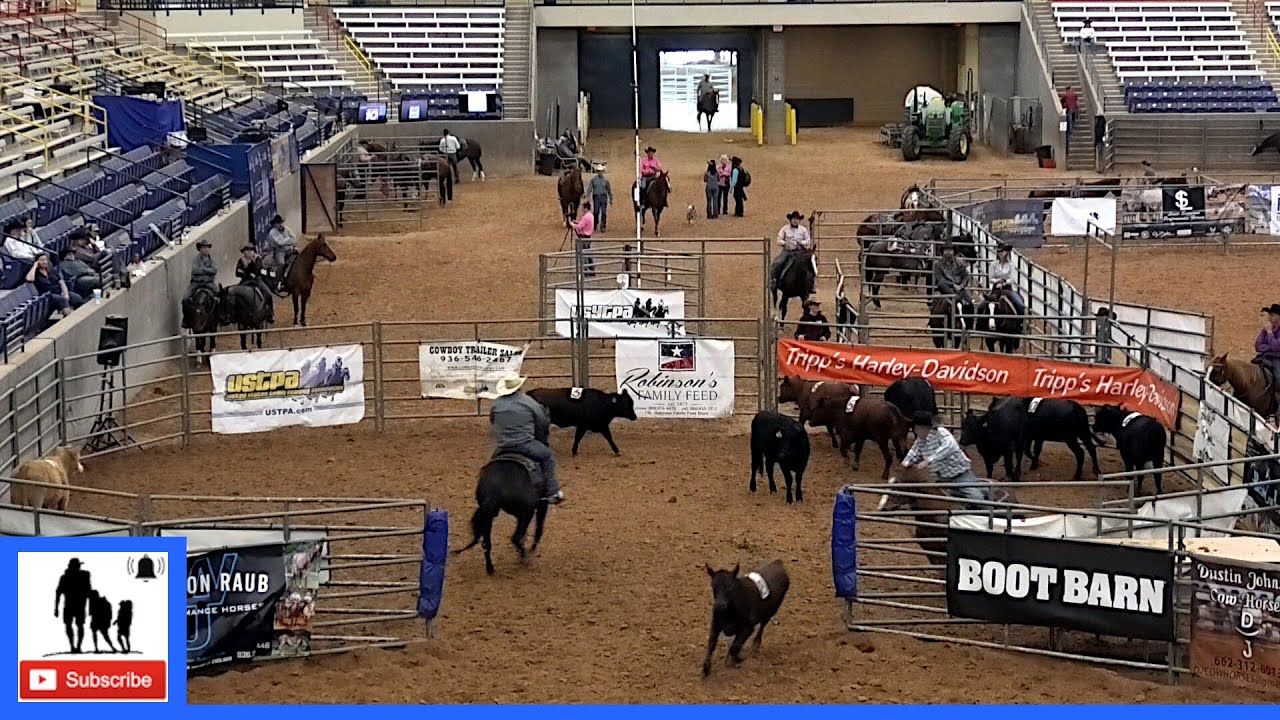 Распределение команд №9, 3-й старт 🐂 Финал чемпионата мира USTPA 2021