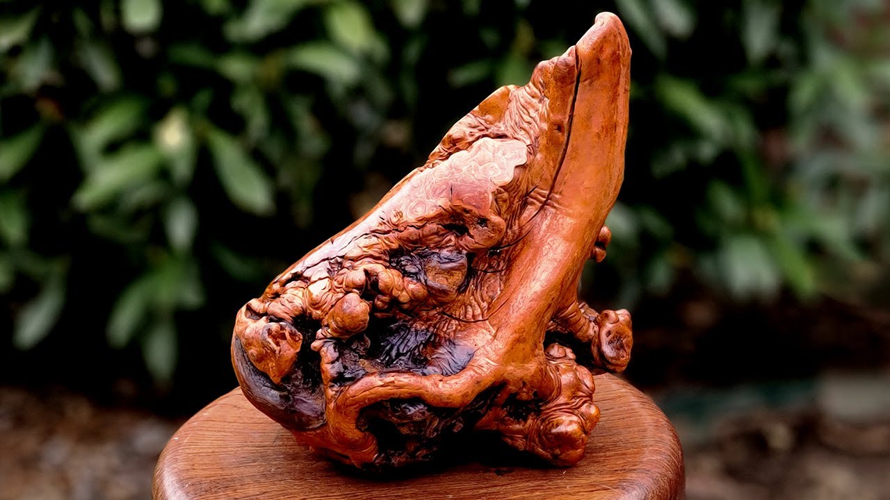 Root Burl Sculpture