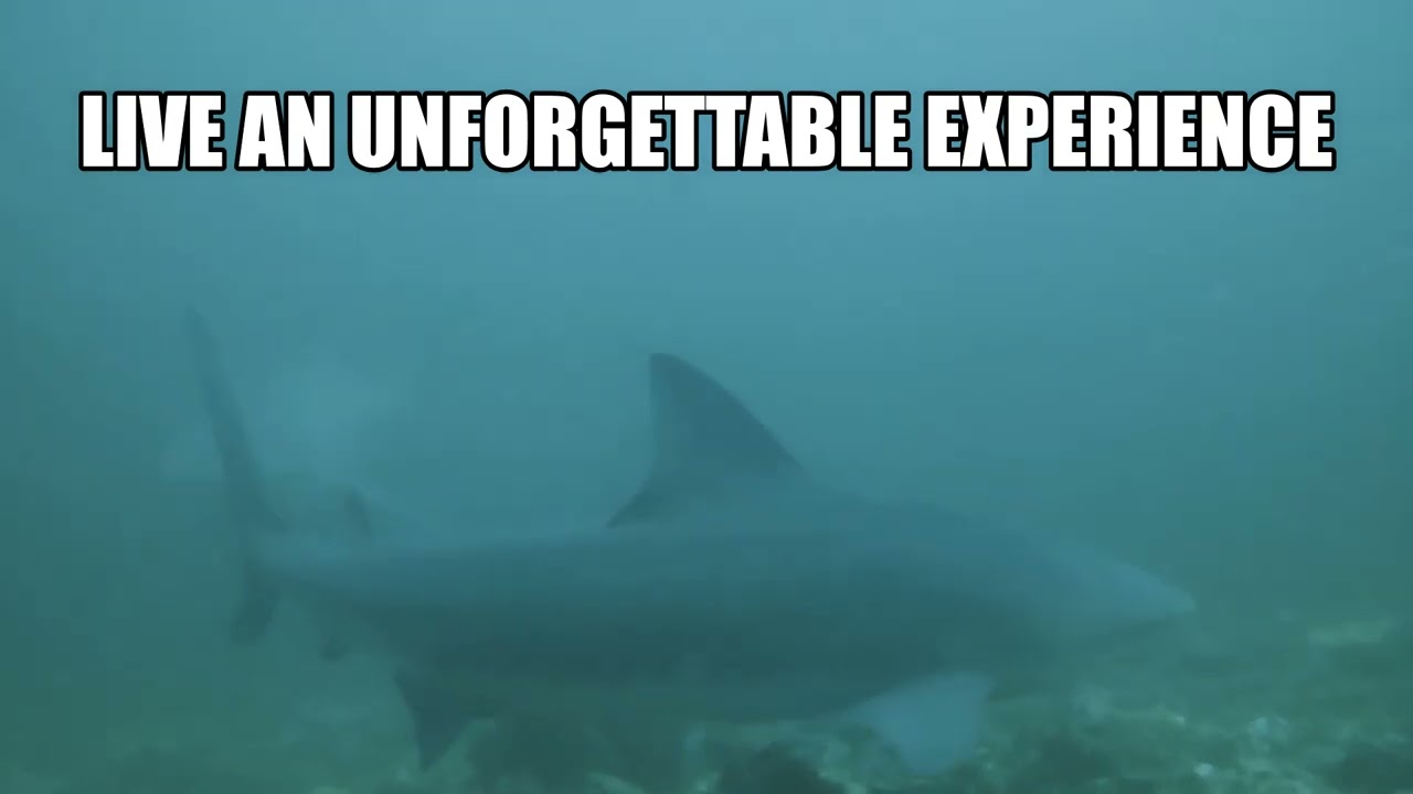 Bat Islands Adventure in Costa Rica