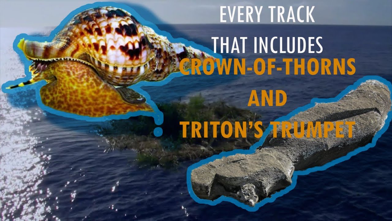 Every Track Containing Crown-of-Thorns and Triton’s Trumpet UPDATED | South Pacific