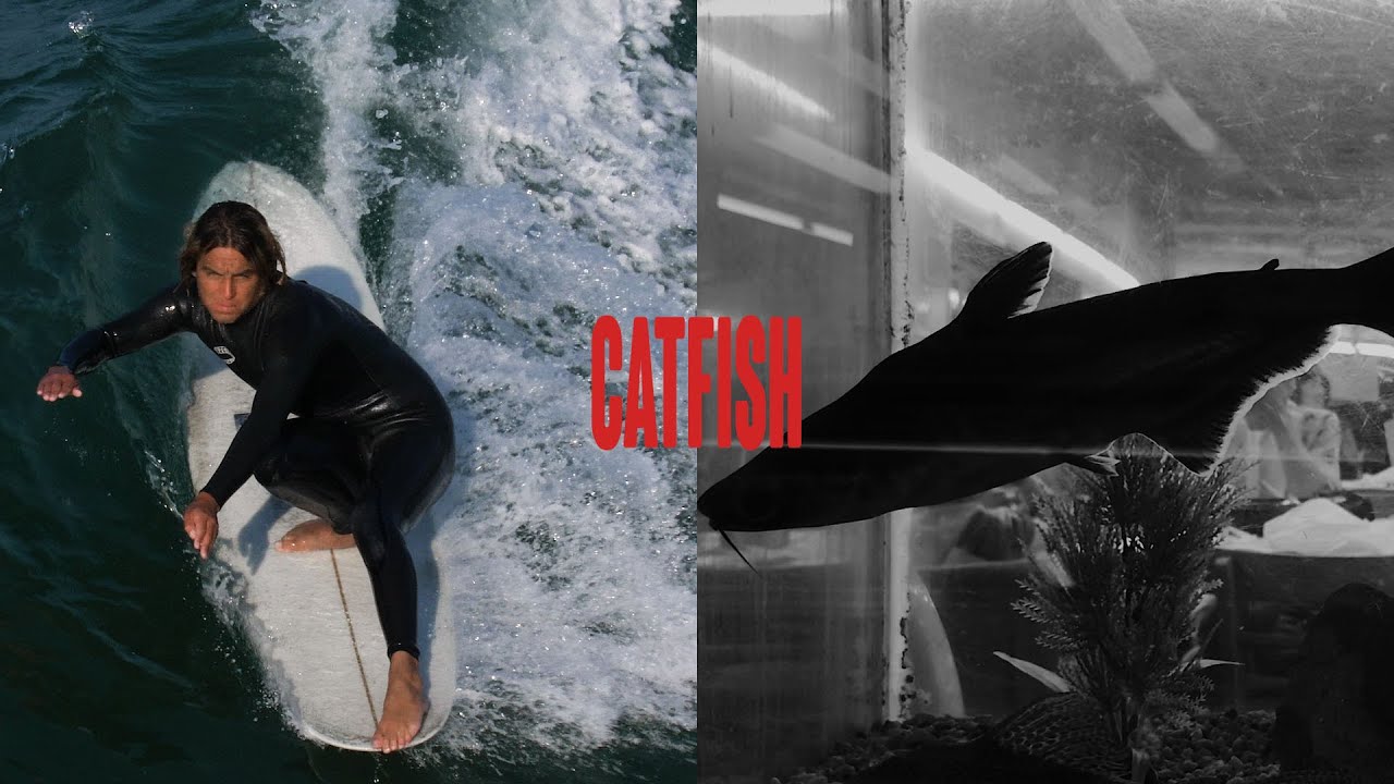 CATFISH ft. Alex Knost, Grant Noble, Summer Richley, & Joe Kisling
