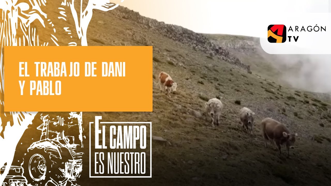El trabajo de Dani y Pablo cada vez es más impresionante
