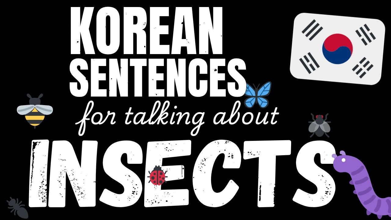 100 Easy Korean sentences - Insects | Learn A1 Korean vocabulary