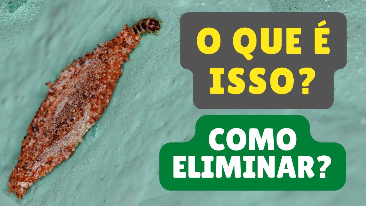 Como acabar com TRAÇAS DAS ROUPAS
