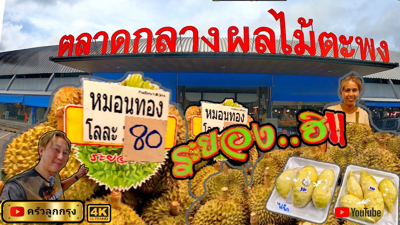 ทุเรียน หมอนทอง โลละ  80.  ตลาดกลางผลไม้ตะพง ระยอง  อลังการ ทุเรียน ราคาถูก    ส่งตรงจาก สวนทุเรียน.