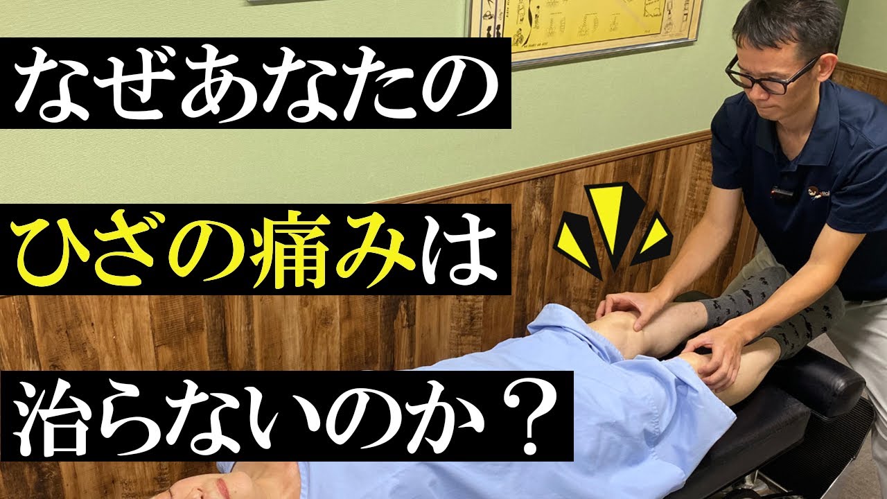 99％が知らない事実…あなたの膝痛の“本当の原因”を教えます【変形性膝関節症】