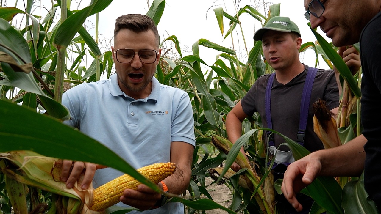 GAgro TV i jego TopNasiona kukurydzy!🌽