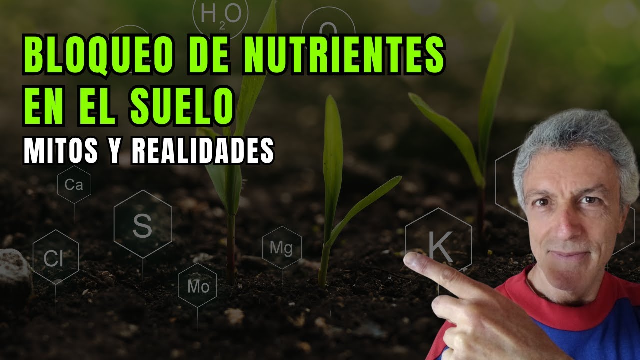 Bloqueo de nutrientes en el suelo - Mitos y realidades