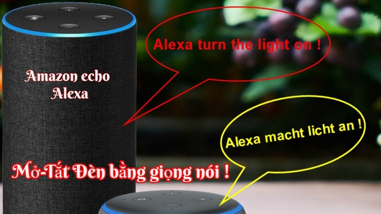 HƯỚNG DẪN CÀI ĐẶT DÙNG GIỌNG NÓI ĐIỀU KHIỂN LOA THÔNG MINH AMAZON TẮT-MỞ ĐÈN MỘT CÁCH CHI TIẾT NHẤT!
