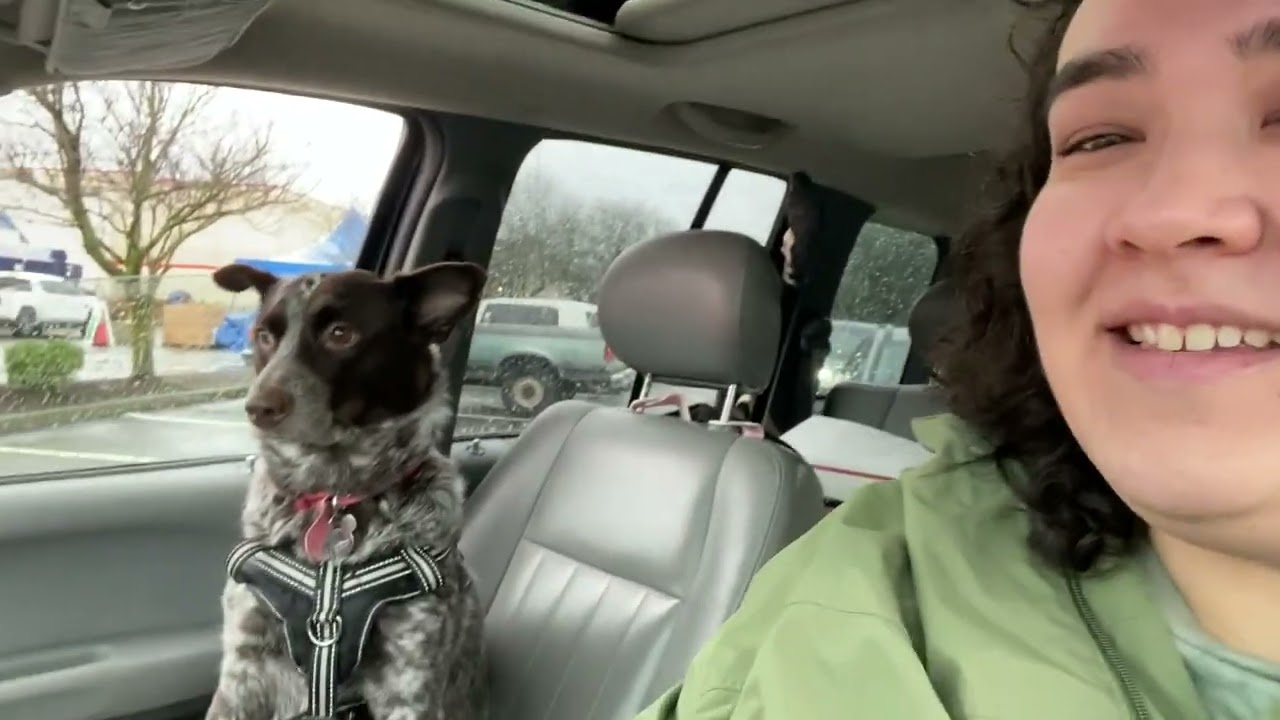Run Errands With Me (& my dog!)