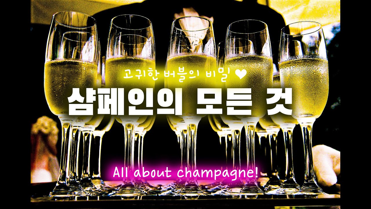 고귀한 버블의 비밀 ♥ 샴페인의 모든 것 ★ All about Champagne