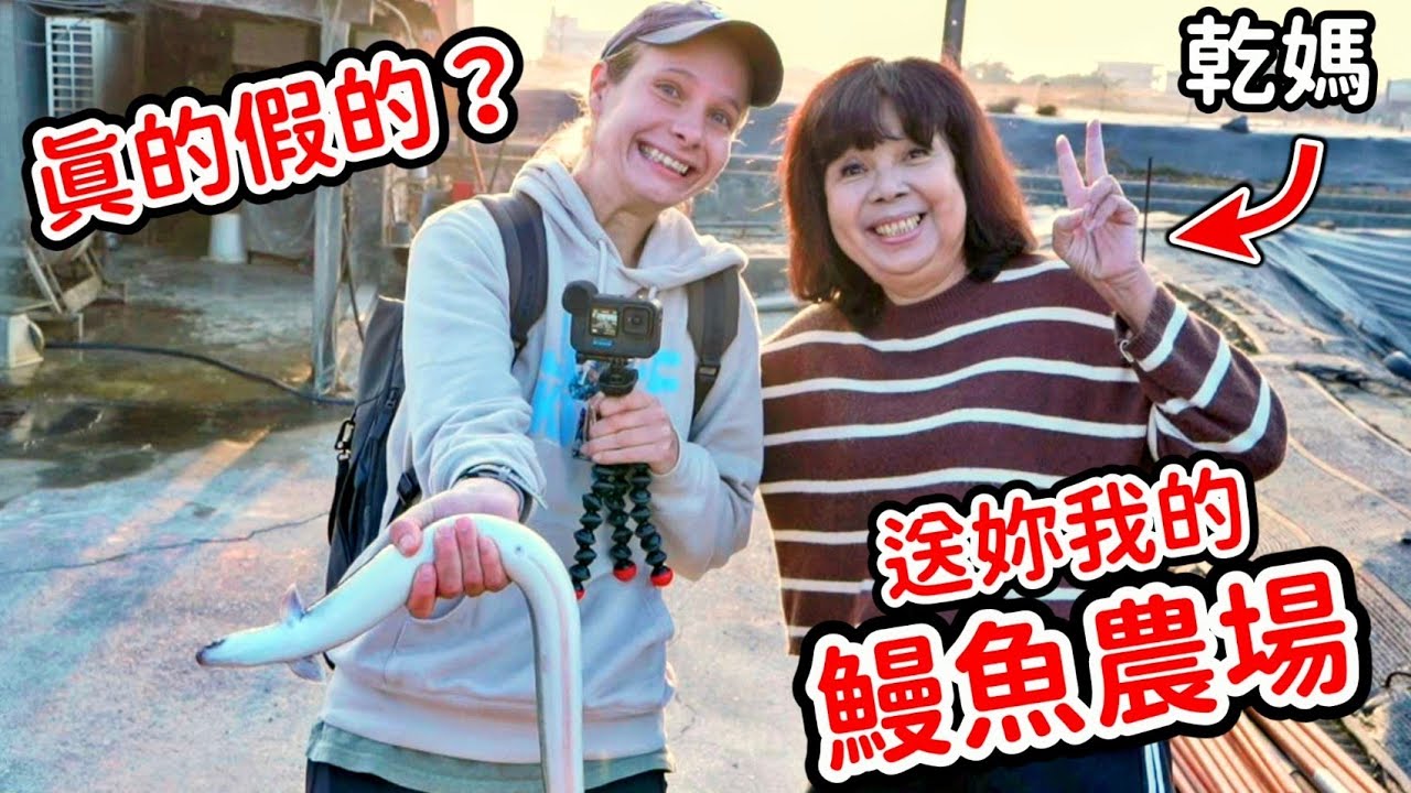 來雲林成為鰻魚公主😘這裡靠鰻魚賺進上百億！直擊全台最大養殖鰻魚故鄉！驚人2萬隻鰻魚瘋狂搶食！