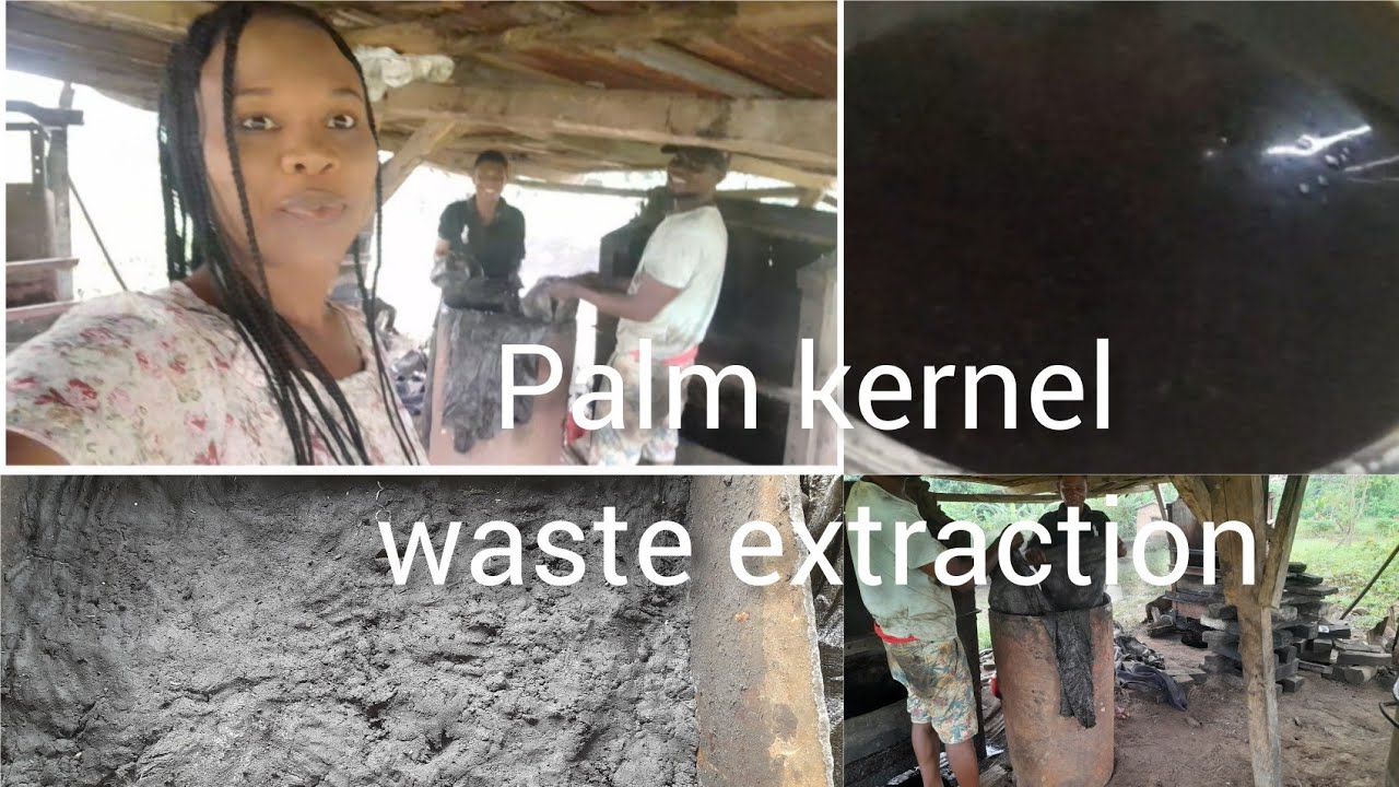 Palm kernel Waste Extraction || Money Making In Nigeria
