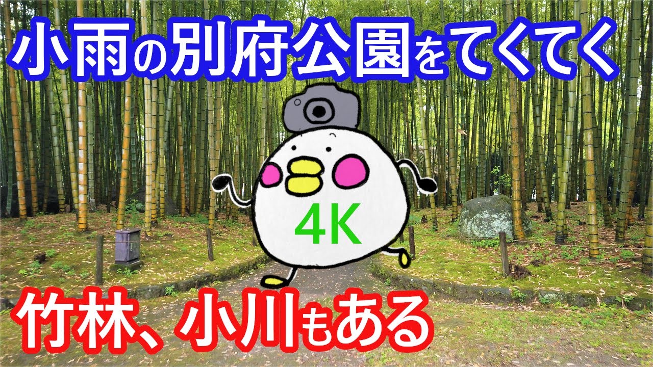 【4Kビデオ散歩】小雨の降る別府公園をてくてく【3倍速】