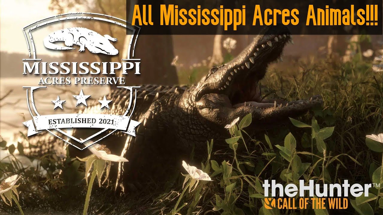 All Animals Mississippi Acres Reserve theHunter Call of the Wild