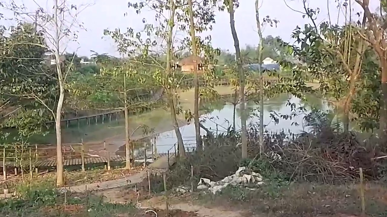 Ccdv park