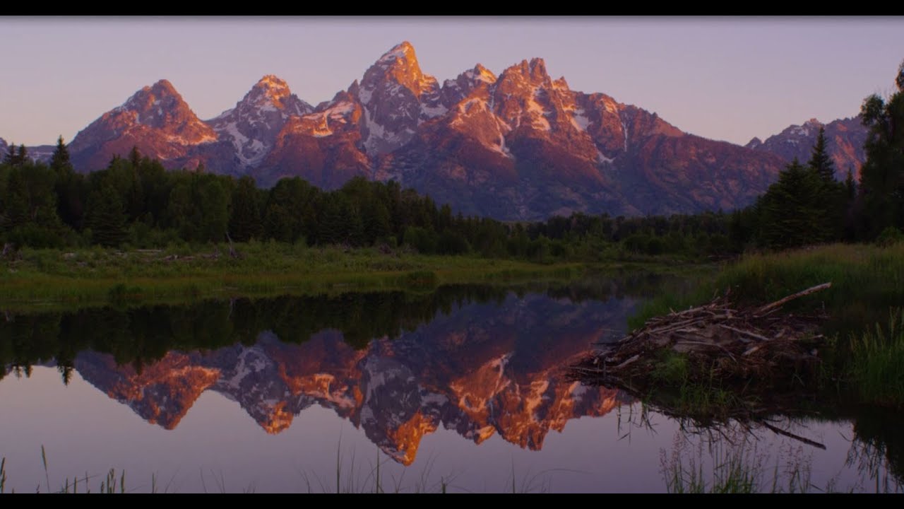 Summer in Jackson Hole: Forever