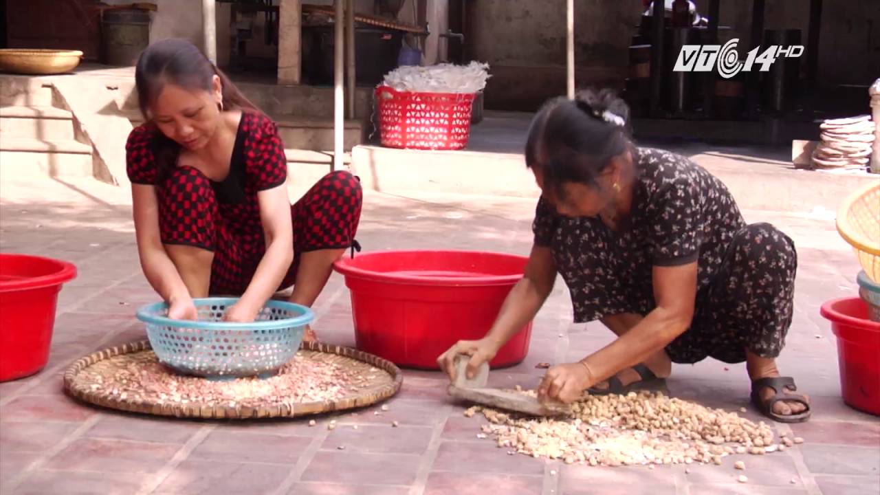 (VTC14)_Cách làm dầu lạc an toàn tại nhà