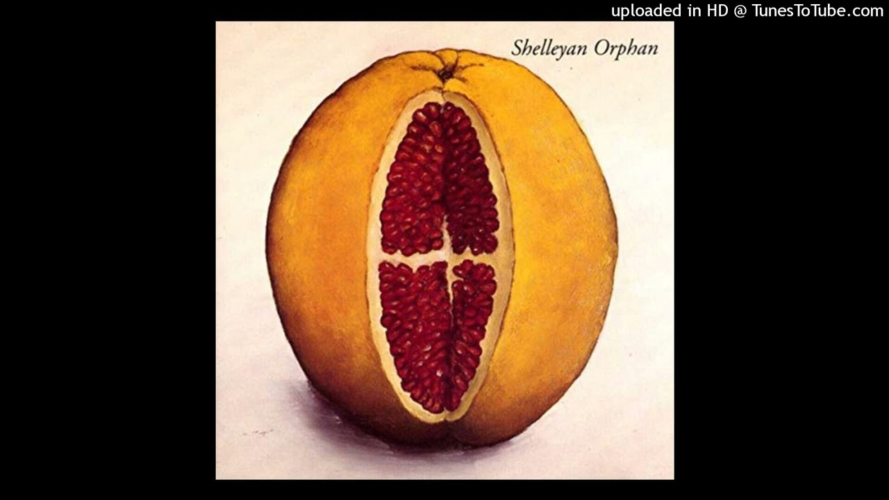 Shelleyan Orphan - Big Sun