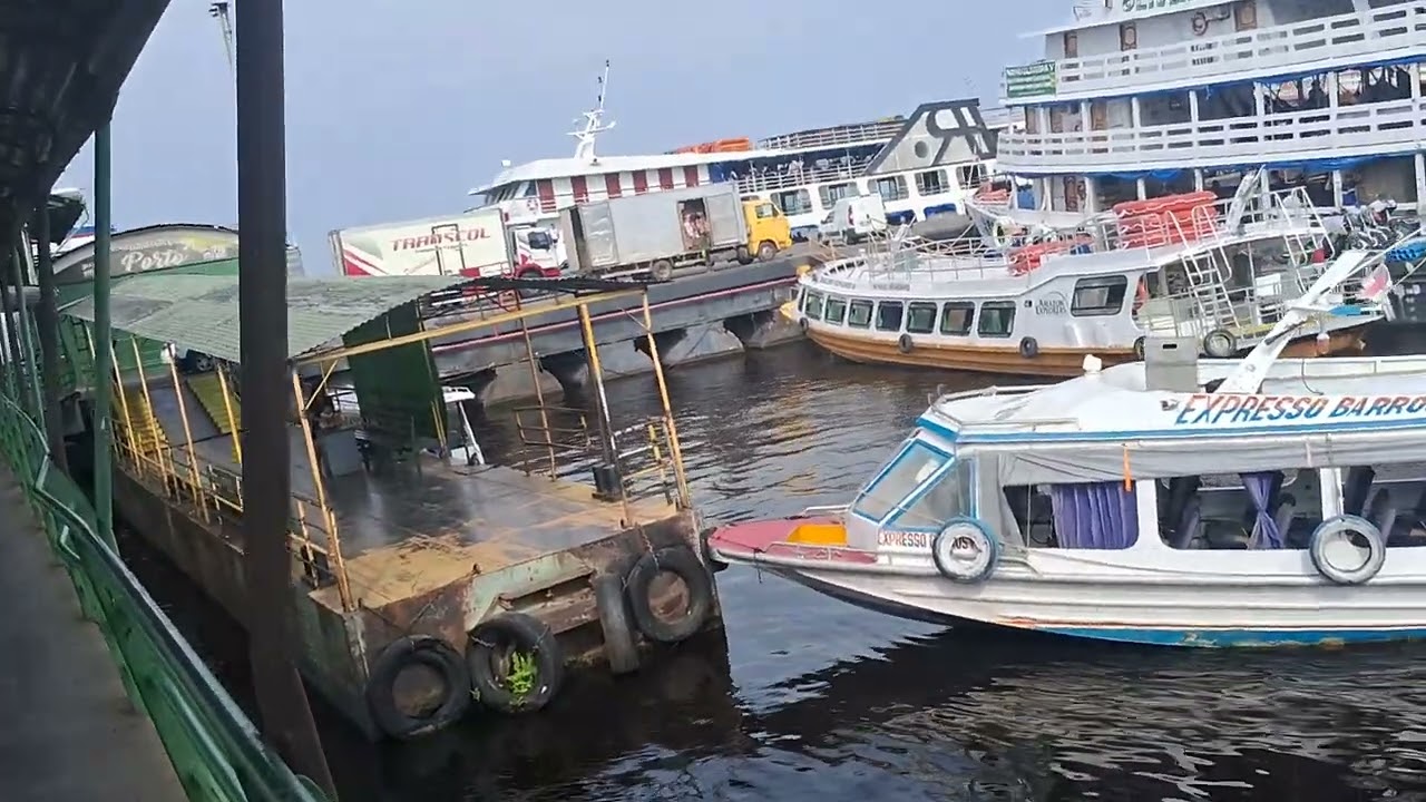 Manaus minha terra minha cidade
