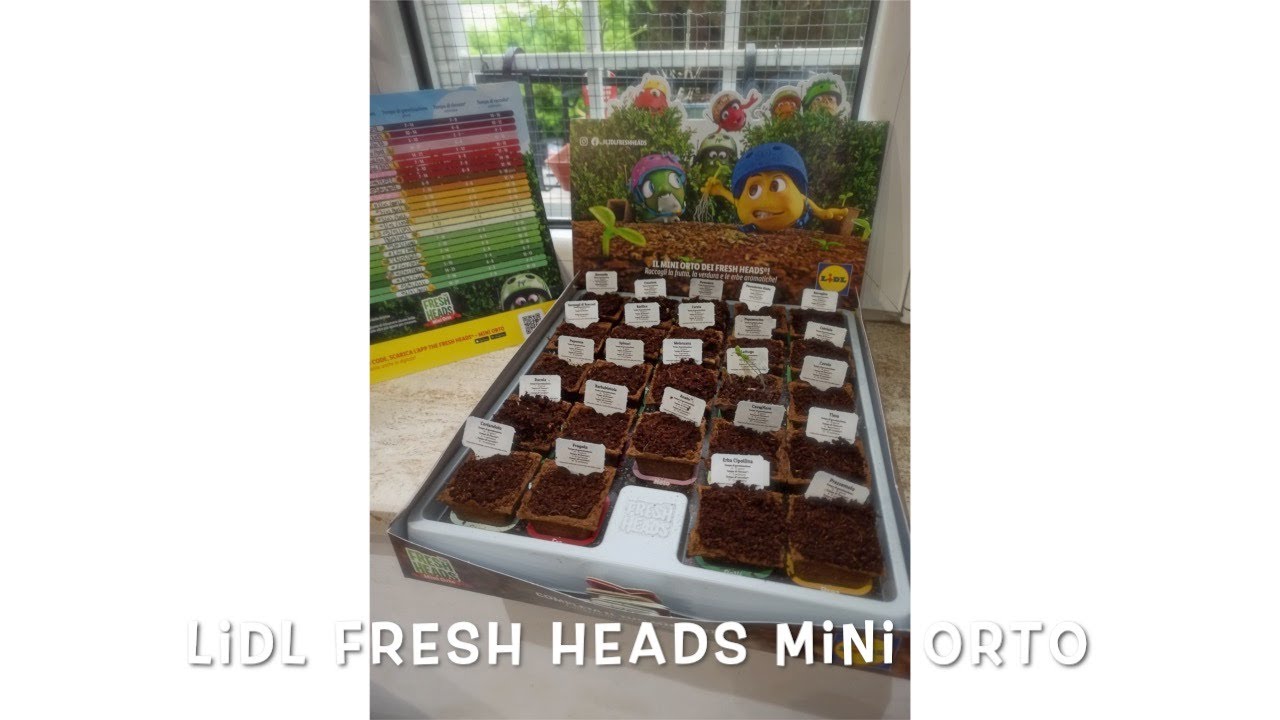FRESH HEADS MINI ORTO collezione  completata #lidlfreshheads 🌱😍🔝