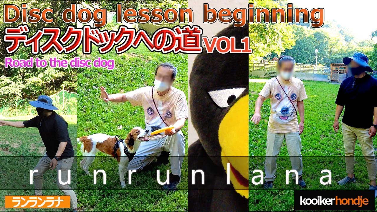 #20 ディスクドックへの道　VOL1　コーイケルホンディエ