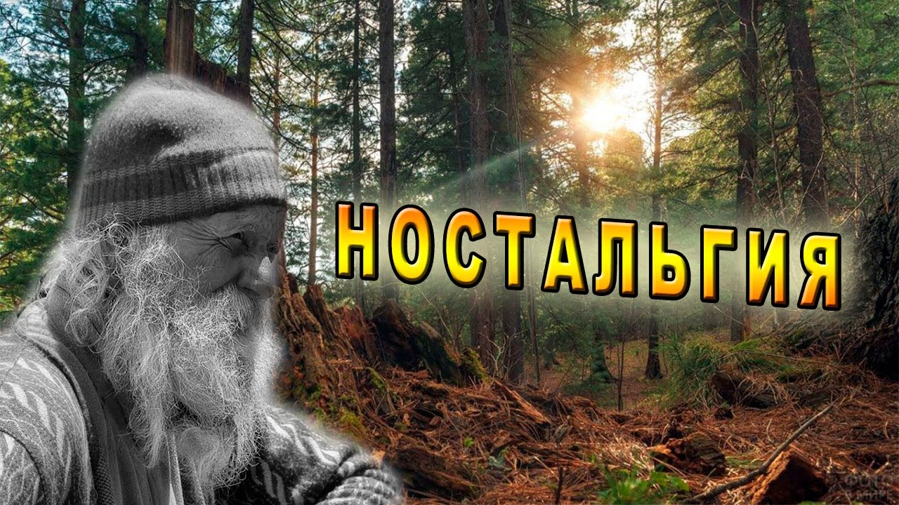 /Из жизни охотника/Таёжная История/