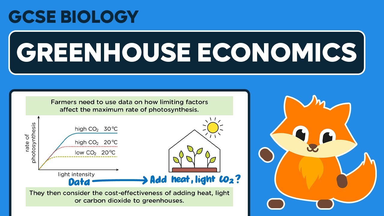 Greenhouse Economics - GCSE Biology