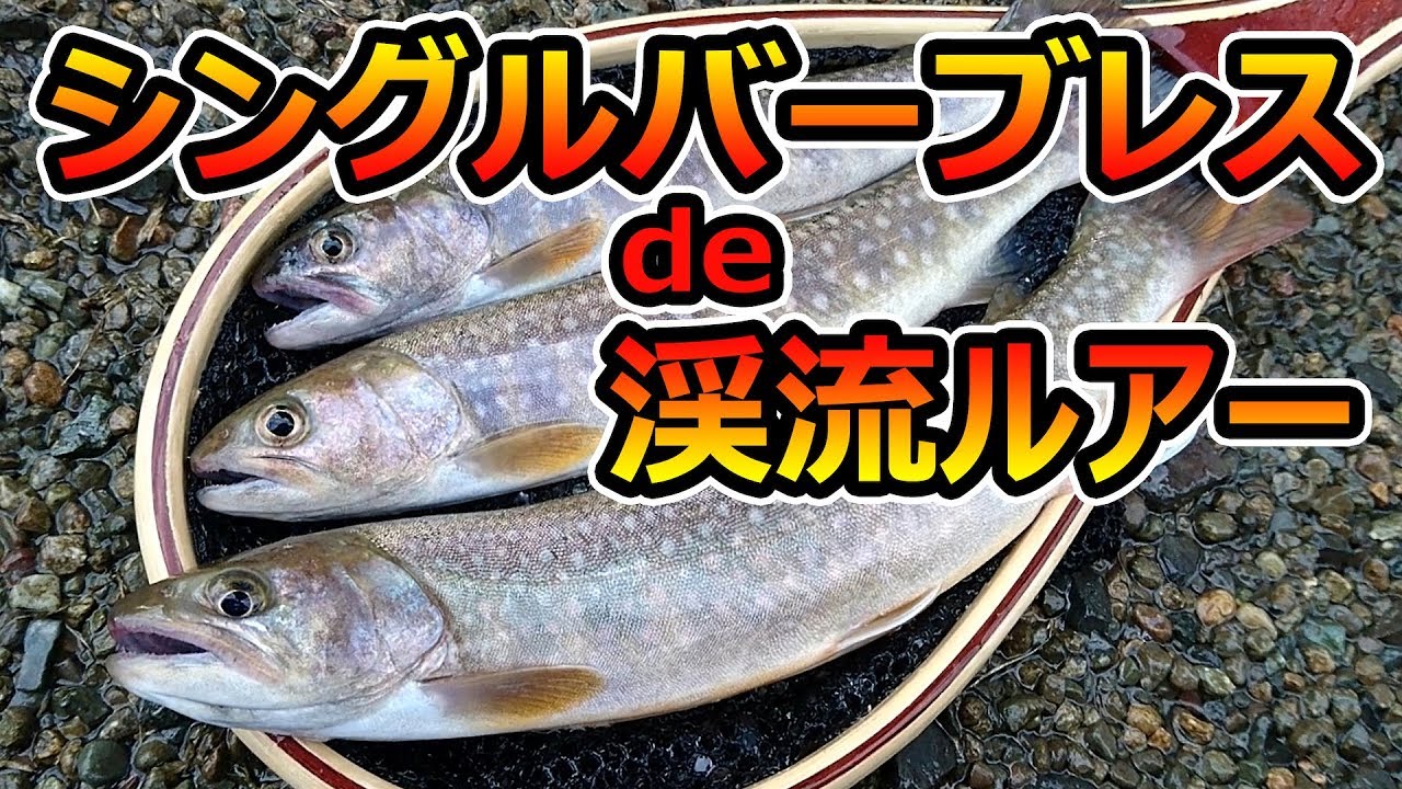 【実証】シングルのバーブレスフックはバレないのか？『実釣で検証してみた！』