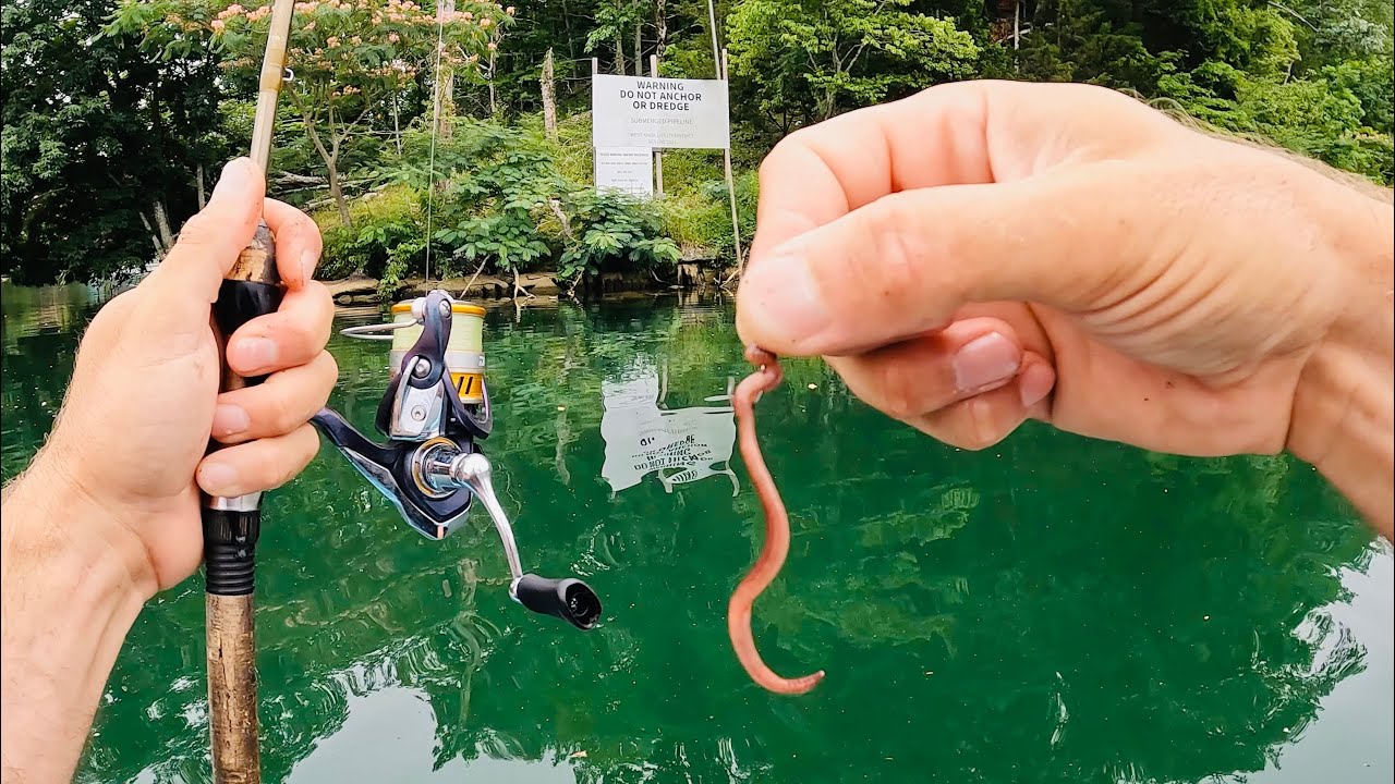 This 1 Tactic Catches Fish Every Time