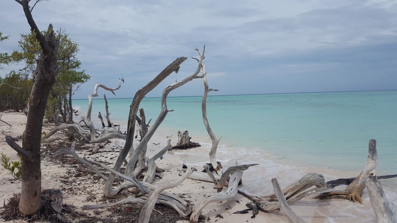 Ausflug zur Trauminsel Cayo Jutias
