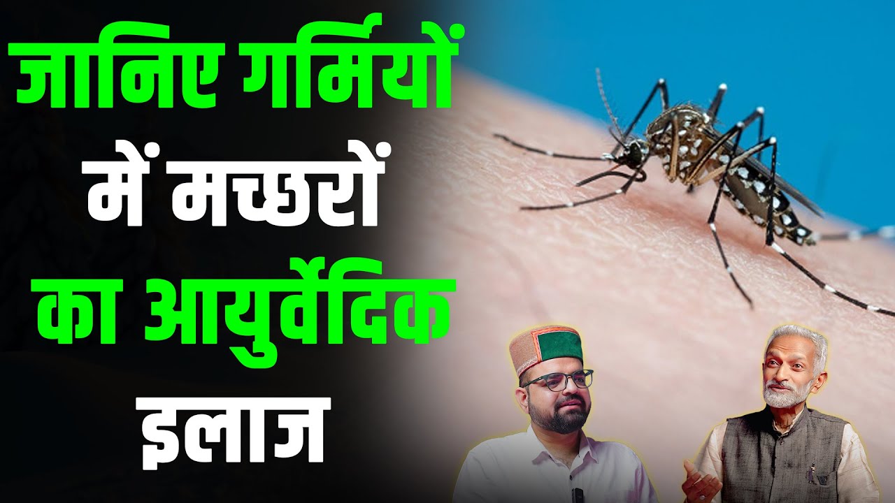 जानिए गर्मियों में मच्छरों का आयुर्वेदिक इलाज | @TheHimachaliPodcaster