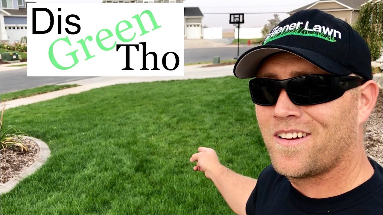 Milorganite Humic12 Air8 Results- Apply N-ext RGS Micro Green