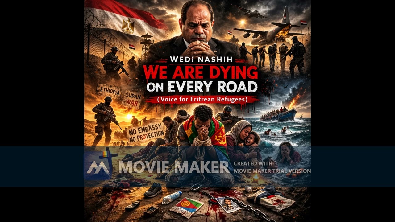 Eritrean Habesha Music 2026 – Wedi Nashih New Song El-Sisi Stop Deporting