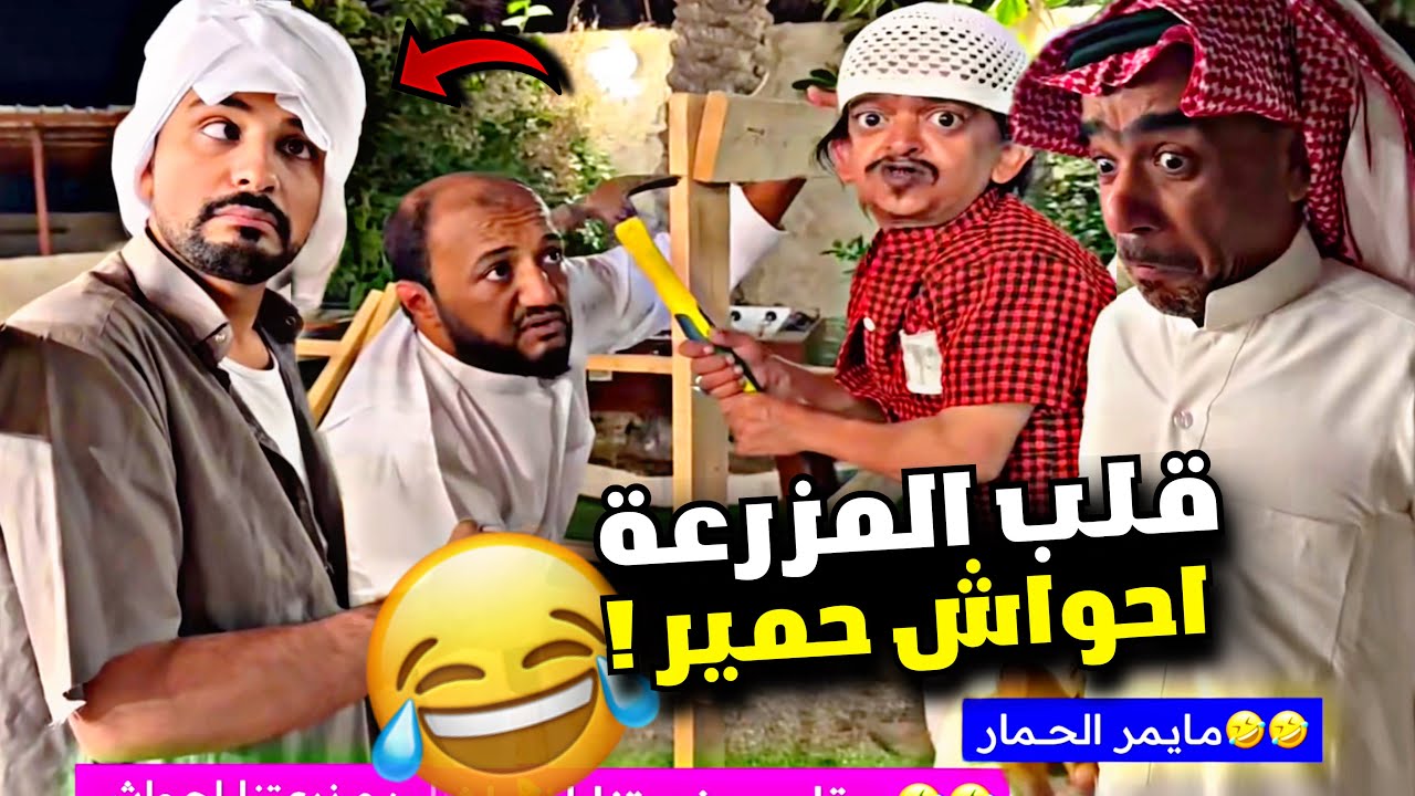 بودويش بيقلب المزرعة أحواش 🤣🤣🤣 | سنابات مرتضى السلمان