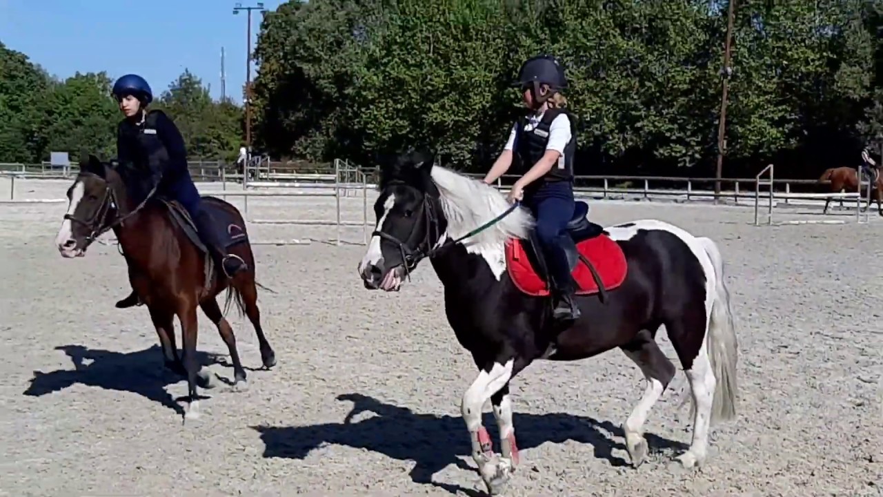 [Équitation] Elle tient en selle 😜