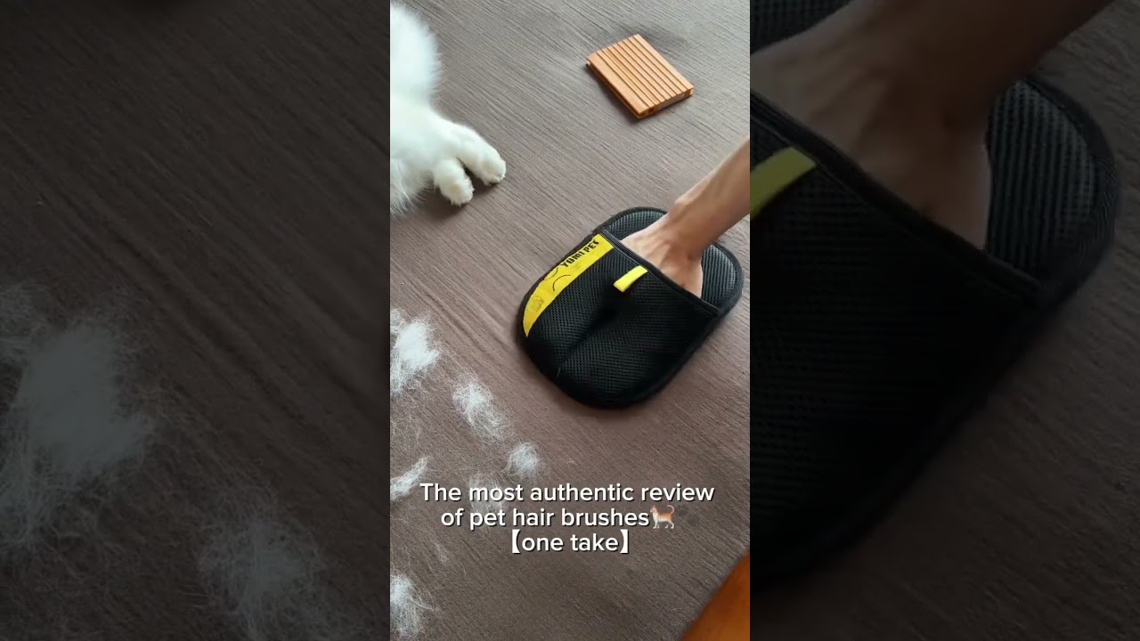 This is the best and fastest way to remove pet hair! I use this everywhere #cleaning #petbrush #cat