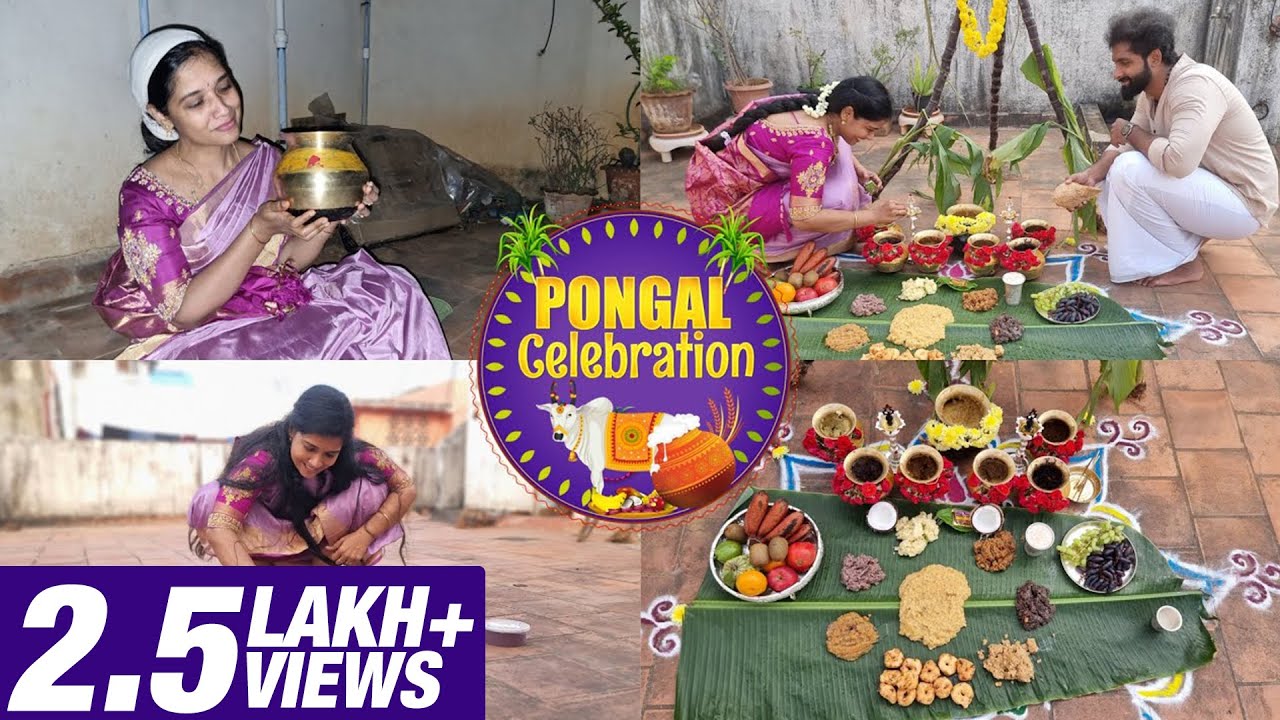 எங்க வீட்டு பொங்கல் | Pongal Celebration Vlog | தமிழர் திருநாள் | Lakshya Vlogs | Lakshya Junction