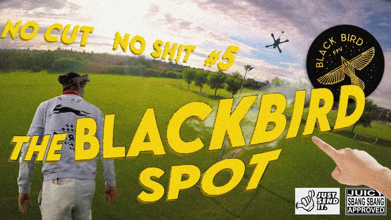 Flying BLACKBIRD FPV spot 🦅 || No Cut No Sh!t #5  || DRONE FPV RAW FREESTYLE